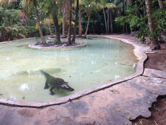 Zoológico de Crococun